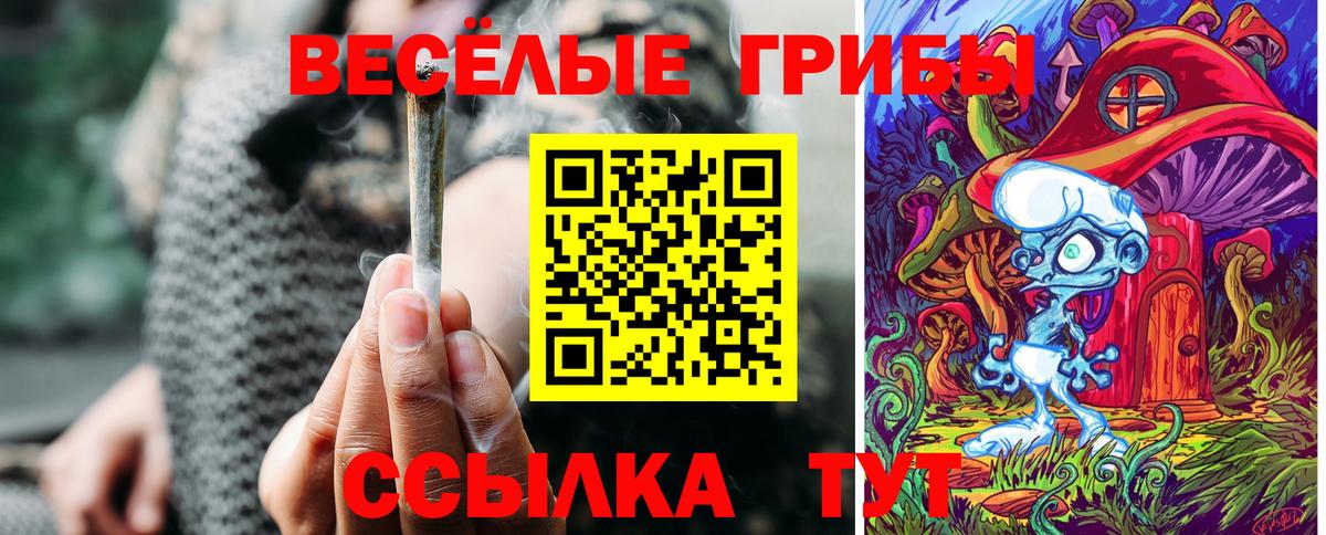 купить  сайты  Галлюциногенные грибы Psilocybine cubensis  Вход с VPN  Самара 