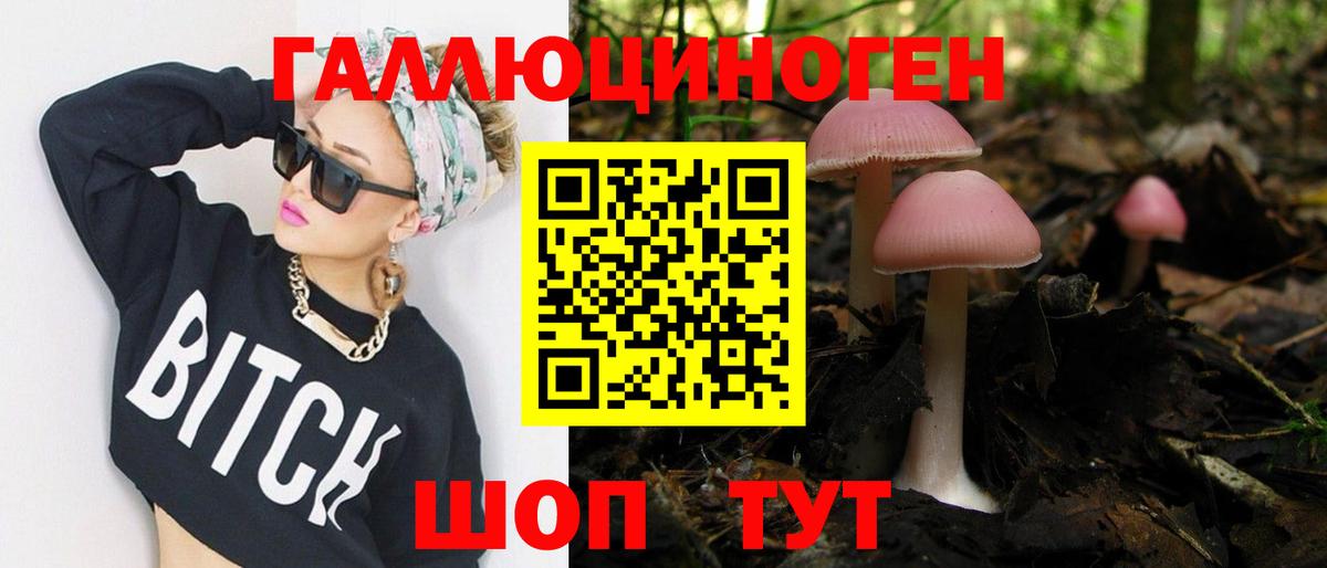 Галлюциногенные грибы Psilocybine cubensis Самара